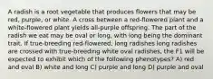 A radish is a root vegetable that produces flowers that may be red, purple, or white. A cross between a red-flowered plant and a white-flowered plant yields all-purple offspring. The part of the radish we eat may be oval or long, with long being the dominant trait. If true-breeding red-flowered, long radishes long radishes are crossed with true-breeding white oval radishes, the F1 will be expected to exhibit which of the following phenotypes? A) red and oval B) white and long C) purple and long D) purple and oval