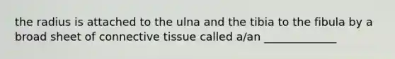 the radius is attached to the ulna and the tibia to the fibula by a broad sheet of connective tissue called a/an _____________