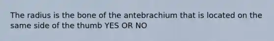 The radius is the bone of the antebrachium that is located on the same side of the thumb YES OR NO
