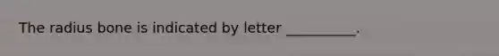 The radius bone is indicated by letter __________.