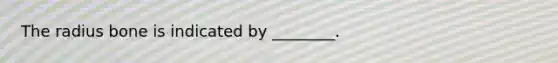 The radius bone is indicated by ________.