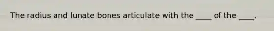 The radius and lunate bones articulate with the ____ of the ____.