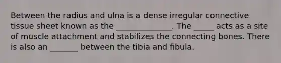 Between the radius and ulna is a dense irregular connective tissue sheet known as the ______________. The _____ acts as a site of muscle attachment and stabilizes the connecting bones. There is also an _______ between the tibia and fibula.