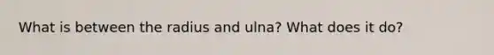 What is between the radius and ulna? What does it do?