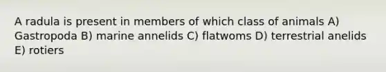 A radula is present in members of which class of animals A) Gastropoda B) marine annelids C) flatwoms D) terrestrial anelids E) rotiers