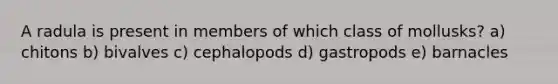 A radula is present in members of which class of mollusks? a) chitons b) bivalves c) cephalopods d) gastropods e) barnacles