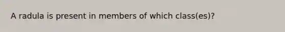 A radula is present in members of which class(es)?