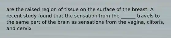 are the raised region of tissue on the surface of the breast. A recent study found that the sensation from the ______ travels to the same part of the brain as sensations from the vagina, clitoris, and cervix