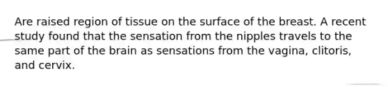 Are raised region of tissue on the surface of the breast. A recent study found that the sensation from the nipples travels to the same part of the brain as sensations from the vagina, clitoris, and cervix.