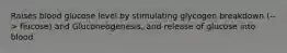 Raises blood glucose level by stimulating glycogen breakdown (--> flucose) and Gluconeogenesis, and release of glucose into blood