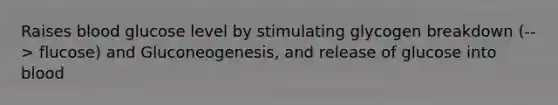 Raises blood glucose level by stimulating glycogen breakdown (--> flucose) and Gluconeogenesis, and release of glucose into blood