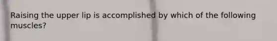 Raising the upper lip is accomplished by which of the following muscles?