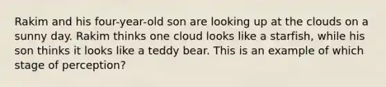 Rakim and his four-year-old son are looking up at the clouds on a sunny day. Rakim thinks one cloud looks like a starfish, while his son thinks it looks like a teddy bear. This is an example of which stage of perception?