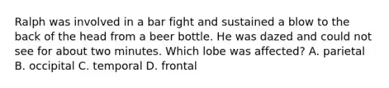 Ralph was involved in a bar fight and sustained a blow to the back of the head from a beer bottle. He was dazed and could not see for about two minutes. Which lobe was affected? A. parietal B. occipital C. temporal D. frontal