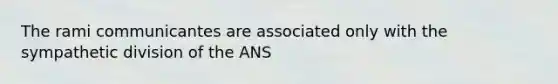 The rami communicantes are associated only with the sympathetic division of the ANS