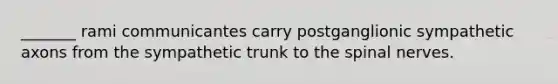 _______ rami communicantes carry postganglionic sympathetic axons from the sympathetic trunk to the spinal nerves.