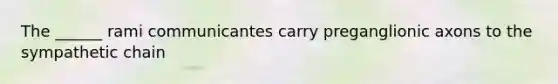 The ______ rami communicantes carry preganglionic axons to the sympathetic chain