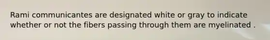 Rami communicantes are designated white or gray to indicate whether or not the fibers passing through them are myelinated .