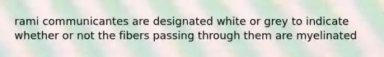 rami communicantes are designated white or grey to indicate whether or not the fibers passing through them are myelinated