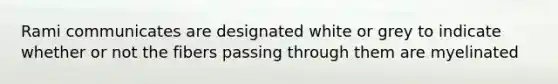 Rami communicates are designated white or grey to indicate whether or not the fibers passing through them are myelinated