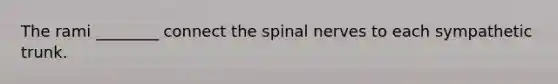 The rami ________ connect the spinal nerves to each sympathetic trunk.