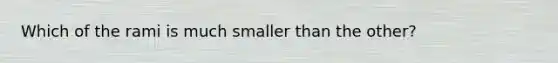 Which of the rami is much smaller than the other?