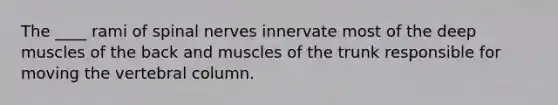 The ____ rami of spinal nerves innervate most of the deep muscles of the back and muscles of the trunk responsible for moving the vertebral column.