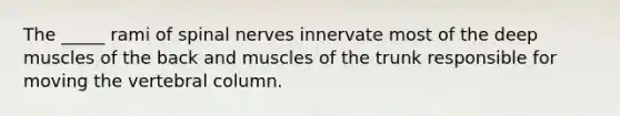 The _____ rami of <a href='https://www.questionai.com/knowledge/kyBL1dWgAx-spinal-nerves' class='anchor-knowledge'>spinal nerves</a> innervate most of the deep muscles of the back and muscles of the trunk responsible for moving the <a href='https://www.questionai.com/knowledge/ki4fsP39zf-vertebral-column' class='anchor-knowledge'>vertebral column</a>.