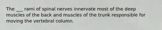 The ___ rami of spinal nerves innervate most of the deep muscles of the back and muscles of the trunk responsible for moving the vertebral column.