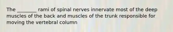 The ________ rami of <a href='https://www.questionai.com/knowledge/kyBL1dWgAx-spinal-nerves' class='anchor-knowledge'>spinal nerves</a> innervate most of the deep muscles of the back and muscles of the trunk responsible for moving the <a href='https://www.questionai.com/knowledge/ki4fsP39zf-vertebral-column' class='anchor-knowledge'>vertebral column</a>