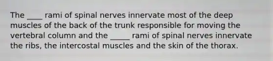 The ____ rami of spinal nerves innervate most of the deep muscles of the back of the trunk responsible for moving the vertebral column and the _____ rami of spinal nerves innervate the ribs, the intercostal muscles and the skin of the thorax.