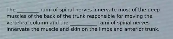 The _________ rami of spinal nerves innervate most of the deep muscles of the back of the trunk responsible for moving the vertebral column and the ___________ rami of spinal nerves innervate the muscle and skin on the limbs and anterior trunk.