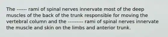 The ------ rami of spinal nerves innervate most of the deep muscles of the back of the trunk responsible for moving the vertebral column and the --------- rami of spinal nerves innervate the muscle and skin on the limbs and anterior trunk.