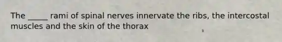 The _____ rami of <a href='https://www.questionai.com/knowledge/kyBL1dWgAx-spinal-nerves' class='anchor-knowledge'>spinal nerves</a> innervate the ribs, the intercostal muscles and the skin of the thorax