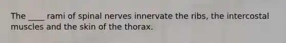 The ____ rami of spinal nerves innervate the ribs, the intercostal muscles and the skin of the thorax.