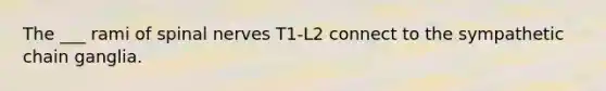 The ___ rami of spinal nerves T1-L2 connect to the sympathetic chain ganglia.