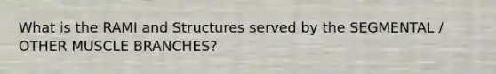 What is the RAMI and Structures served by the SEGMENTAL / OTHER MUSCLE BRANCHES?
