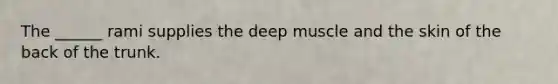 The ______ rami supplies the deep muscle and the skin of the back of the trunk.