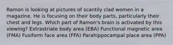 Ramon is looking at pictures of scantily clad women in a magazine. He is focusing on their body parts, particularly their chest and legs. Which part of Ramon's brain is activated by this viewing? Extrastriate body area (EBA) Functional magnetic area (FMA) Fusiform face area (FFA) Parahippocampal place area (PPA)