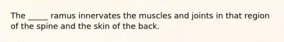 The _____ ramus innervates the muscles and joints in that region of the spine and the skin of the back.