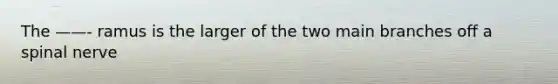 The ——- ramus is the larger of the two main branches off a spinal nerve