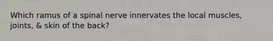 Which ramus of a spinal nerve innervates the local muscles, joints, & skin of the back?