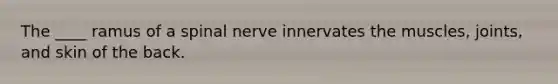 The ____ ramus of a spinal nerve innervates the muscles, joints, and skin of the back.