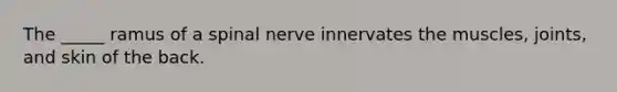 The _____ ramus of a spinal nerve innervates the muscles, joints, and skin of the back.