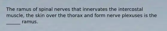 The ramus of spinal nerves that innervates the intercostal muscle, the skin over the thorax and form nerve plexuses is the ______ ramus.