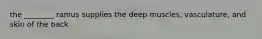 the ________ ramus supplies the deep muscles, vasculature, and skin of the back