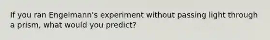 If you ran Engelmann's experiment without passing light through a prism, what would you predict?