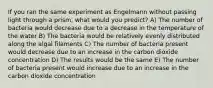 If you ran the same experiment as Engelmann without passing light through a prism, what would you predict? A) The number of bacteria would decrease due to a decrease in the temperature of the water B) The bacteria would be relatively evenly distributed along the algal filaments C) The number of bacteria present would decrease due to an increase in the carbon dioxide concentration D) The results would be the same E) The number of bacteria present would increase due to an increase in the carbon dioxide concentration