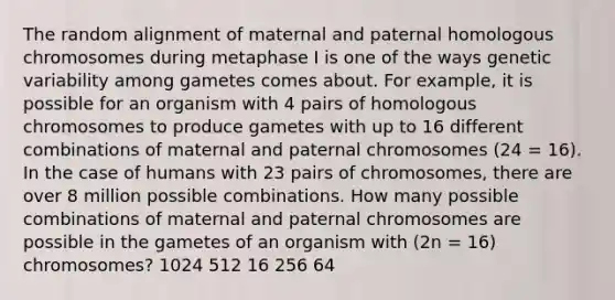 The random alignment of maternal and paternal homologous chromosomes during metaphase I is one of the ways genetic variability among gametes comes about. For example, it is possible for an organism with 4 pairs of homologous chromosomes to produce gametes with up to 16 different combinations of maternal and paternal chromosomes (24 = 16). In the case of humans with 23 pairs of chromosomes, there are over 8 million possible combinations. How many possible combinations of maternal and paternal chromosomes are possible in the gametes of an organism with (2n = 16) chromosomes? 1024 512 16 256 64