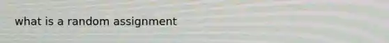 what is a random assignment